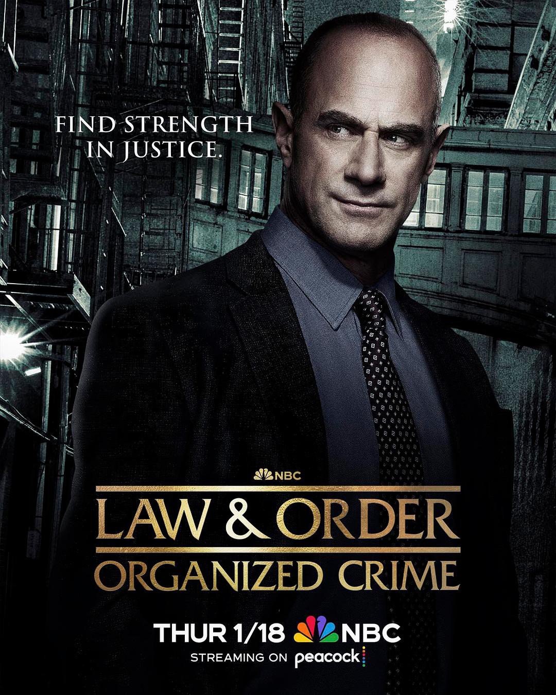 法律与秩序：组织犯罪第四季